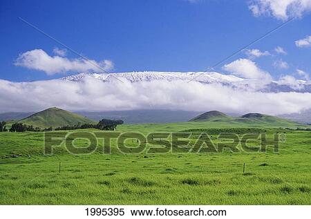 Stock Photography - Hawaii, Big Island, Waimea, View Of Snowcapped Mauna Kea From Lush Rolling Hills Below.. Fotosearch