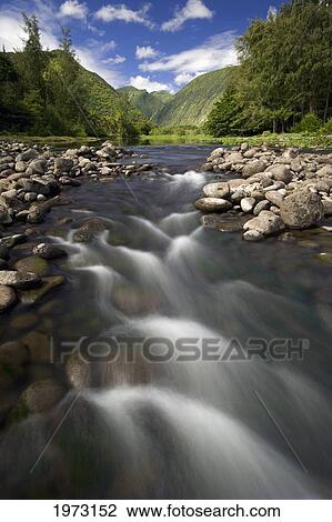 Stock Image - Hawaii, Big Island, Waipio Valley Stream.. Fotosearch