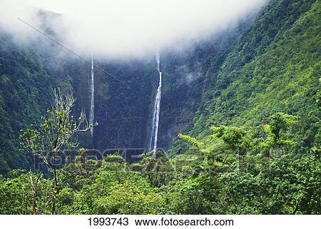 Hawaii, Big Island, Waipio Valley, Twin Waterfalls With Lush Greenery. View Large Photo Image Stock Image - Hawaii, Big Island, Waipio Valley, Twin Waterfalls With Lush Greenery.. Fotosearch