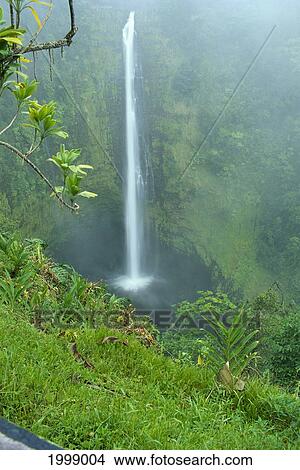 Picture - Hawaii, Big Island, Waterfall: Akaka Falls. Fotosearch