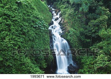 Hawaii, Big Island, Waterful On Hamakua Coast. View Large Photo Image Stock Image - Hawaii, Big Island, Waterful On Hamakua Coast.. Fotosearch