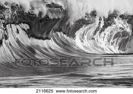 Stock Photography - Hawaii, Big powerful wave breaks on the shore (black and white).. Fotosearch