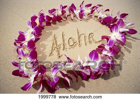 Hawaii, Close-Up Detail Of Purple Orchid Lei On Beach Aloha Written In Sand C1445 View Large Photo Image Stock Photo - Hawaii, Close-Up Detail Of Purple Orchid Lei On Beach Aloha Written In Sand C1445. Fotosearch