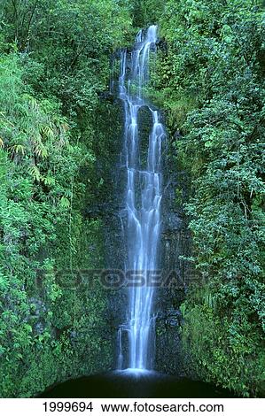 Hawaii, Close-Up Of Waterfall On Mountain Side, Green Foliage, Pool Below C1653 View Large Photo Image Picture - Hawaii, Close-Up Of Waterfall On Mountain Side, Green Foliage, Pool Below C1653. Fotosearch