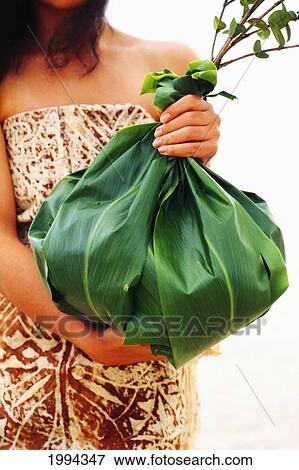 Hawaii, Close-Up Of Woman Holding A Ti-Leaf Bundle Out As An Offering. View Large Photo Image Stock Photo - Hawaii, Close-Up Of Woman Holding A Ti-Leaf Bundle Out As An Offering.. Fotosearch