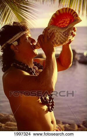 Hawaii, Close-Up Side Angle Of Male Conch Shell Blower, Kukui Nut Lei, Ocean Background A39E View Large Photo Image Picture - Hawaii, Close-Up Side Angle Of Male Conch Shell Blower, Kukui Nut Lei, Ocean Background A39E. Fotosearch