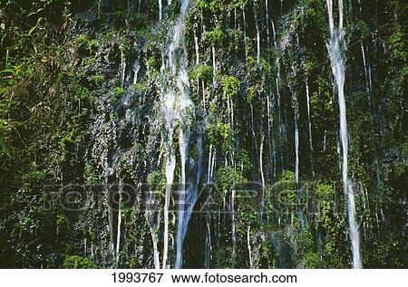 Stock Photo - Hawaii, Closeup Of Many Small Waterfalls Of Side Of Mountain. Fotosearch