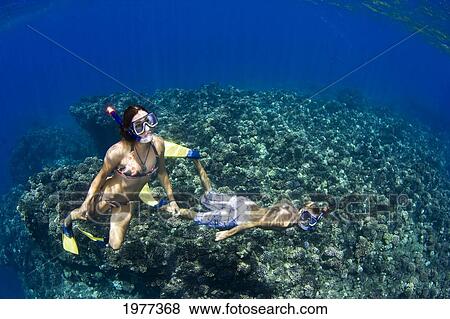 Hawaii, Couple Free Diving Over Coral Reef. View Large Photo Image Stock Photo - Hawaii, Couple Free Diving Over Coral Reef.. Fotosearch
