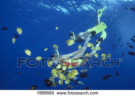 Hawaii, Couple Snorkel In Clear Blue Ocean, Feed Fish Below Surface View Large Photo Image Stock Photography - Hawaii, Couple Snorkel In Clear Blue Ocean, Feed Fish Below Surface. Fotosearch