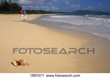Hawaii, Couple Walk On Beach, Triton Trumpet Shell In Sand View Large Photo Image Stock Image - Hawaii, Couple Walk On Beach, Triton Trumpet Shell In Sand. Fotosearch