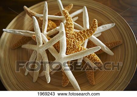 Stock Image - Hawaii, Decorative Dish With Tropical Starfish.. Fotosearch