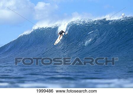 Hawaii, Derek Ho Surfs Large Blue Wave, Spray Off Tips View Large Photo Image Stock Photograph - Hawaii, Derek Ho Surfs Large Blue Wave, Spray Off Tips. Fotosearch