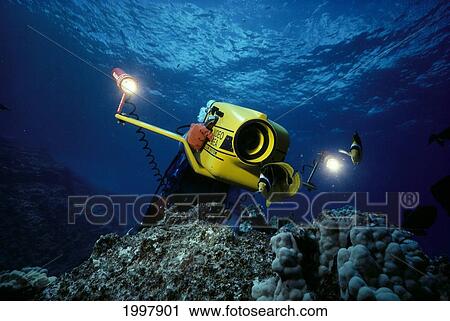 Stock Image - Hawaii, Diver With Underwater Video Camera Over Coral Reef Surface Visible A80A. Fotosearch