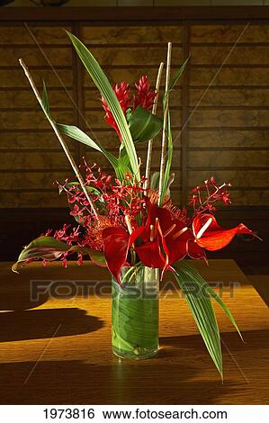 Hawaii, Floral Display Of Red Anthuriums. View Large Photo Image Stock Photograph - Hawaii, Floral Display Of Red Anthuriums.. Fotosearch
