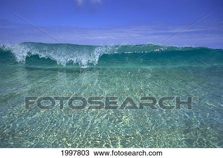 Stock Image - Hawaii, Front View Of Shallow Crystal Clear Aquamarine Wave, Curling A30D. Fotosearch