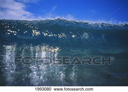 Hawaii, Glassy Wave Reaches Its Crest. View Large Photo Image Stock Image - Hawaii, Glassy Wave Reaches Its Crest.. Fotosearch