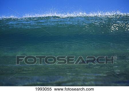 Stock Photography - Hawaii, Green Wave Curls Over Reef.. Fotosearch