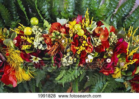 Hawaii, Haku Lei, Variety Of Flowers, Plants, Fern View Large Photo Image Stock Photo - Hawaii, Haku Lei, Variety Of Flowers, Plants, Fern. Fotosearch