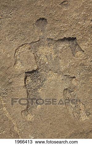 Hawaii, Hawaiian Petroglyph Carved Into Stone. View Large Photo Image Stock Image - Hawaii, Hawaiian Petroglyph Carved Into Stone.. Fotosearch