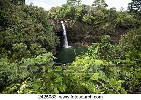 Stock Image - Hawaii, Hilo, Rainbow Falls surrounded by lush greenery.. Fotosearch