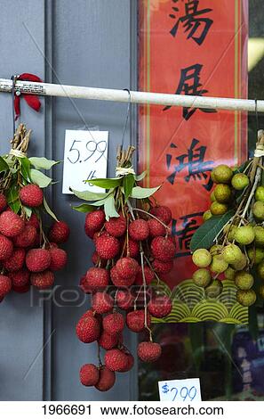 Hawaii, Honolulu, Chinatown Markets, Fresh-Picked Lychee Fruit Hanging In Bunches For Sale. View Large Photo Image Stock Image - Hawaii, Honolulu, Chinatown Markets, Fresh-Picked Lychee Fruit Hanging In Bunches For Sale.. Fotosearch