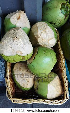 Hawaii, Honolulu, Chinatown Markets, Fresh-Picked Green Coconuts For Sale. View Large Photo Image Stock Image - Hawaii, Honolulu, Chinatown Markets, Fresh-Picked Green Coconuts For Sale.. Fotosearch