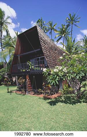 Stock Image - Hawaii, Hotel Molokai, View Of Room With Tropical Plants And Palm Trees.. Fotosearch