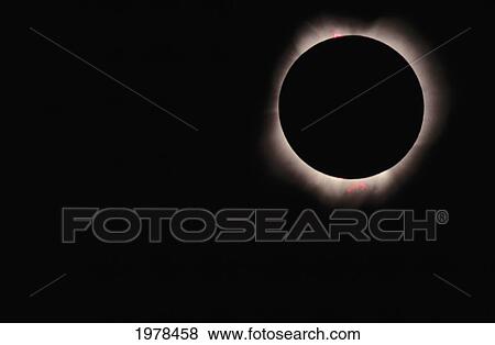 Stock Photo - Hawaii, July 11, 1991, Solar Eclipse, Totality With Solar Flares.. Fotosearch
