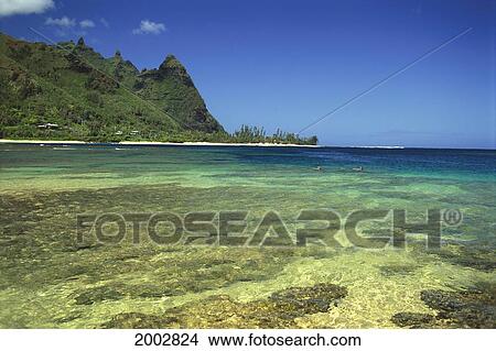 Hawaii, Kauai, Clear Waters, Snorkelers On Haena Beach, Reefs, Blue Sky View Large Photo Image Picture - Hawaii, Kauai, Clear Waters, Snorkelers On Haena Beach, Reefs, Blue Sky. Fotosearch