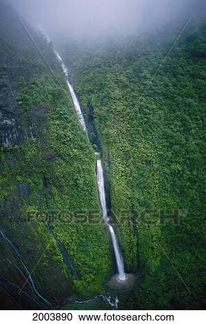 Hawaii, Kauai, Close-Up Aerial View Of Tall Waterfall In Lush Surroundings, Mist Fog View Large Photo Image Stock Image - Hawaii, Kauai, Close-Up Aerial View Of Tall Waterfall In Lush Surroundings, Mist Fog. Fotosearch