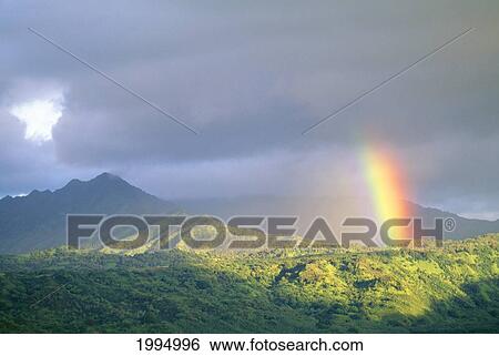 Stock Photograph - Hawaii, Kauai, End Of Rainbow Lands In Hanalei Valley, Large Gray Clouds. Fotosearch