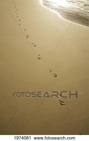 Hawaii, Kauai, Footprints In The Sand. View Large Photo Image Stock Image - Hawaii, Kauai, Footprints In The Sand.. Fotosearch
