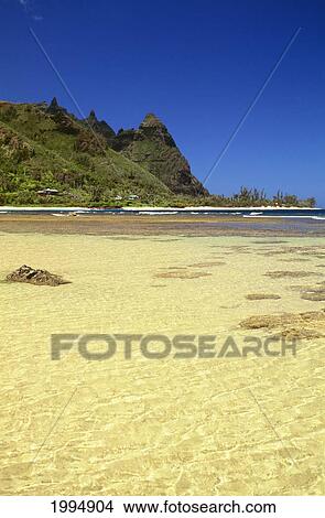 Picture - Hawaii, Kauai, Ha'ena Beach, Closeup Of Reef And Tide Pools In Calm Ocean. Fotosearch