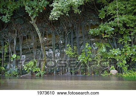 Stock Image - Hawaii, Kauai, Haena Falls.. Fotosearch
