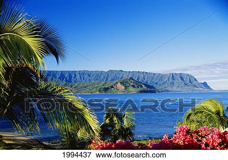Stock Photo - Hawaii, Kauai, Hanalei Bay, Bali Hai, Ocean And Coastline Framed With Flowers And Palms. Fotosearch