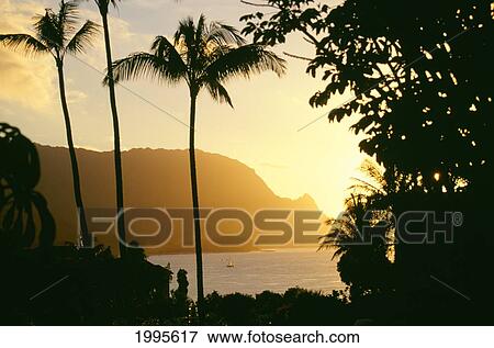 Stock Photo - Hawaii, Kauai, Hanalei Bay, Bali Hai, Yellow Sunset Through Palm Trees And Vegetation. Fotosearch