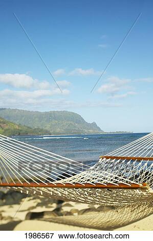 Hawaii, Kauai, Hanalei Bay Princeville, Close-Up Of Hammock On Sandy Tropical Beach. View Large Photo Image Stock Photo - Hawaii, Kauai, Hanalei Bay Princeville, Close-Up Of Hammock On Sandy Tropical Beach.. Fotosearch