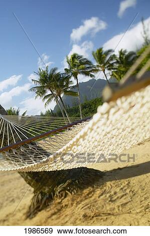 Stock Photo - Hawaii, Kauai, Hanalei Bay Princeville, Close-Up Of Hammock On Sandy Tropical Beach.. Fotosearch