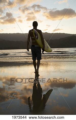 Hawaii, Kauai, Hanalei Bay, Young Man At The Beach Walking With Surfboard At Sunset. View Large Photo Image Picture - Hawaii, Kauai, Hanalei Bay, Young Man At The Beach Walking With Surfboard At Sunset.. Fotosearch