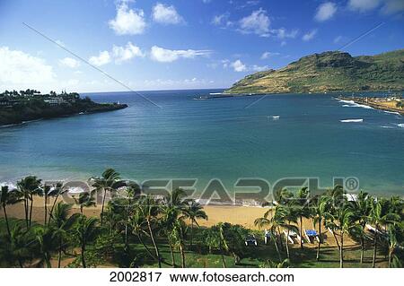 Stock Photo - Hawaii, Kauai, Kalapaki Beach, Calm Turquoise Water, Palm Trees, Beach, Blue Sky. Fotosearch