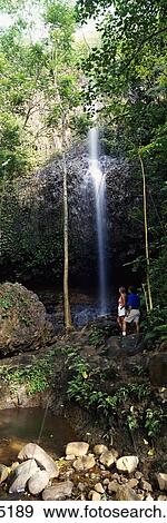 Hawaii, Kauai, Kalihiwai, Couple Watching Waterfall Lush Greenery, Vertical Panoramic View Large Photo Image Stock Photo - Hawaii, Kauai, Kalihiwai, Couple Watching Waterfall Lush Greenery, Vertical Panoramic. Fotosearch