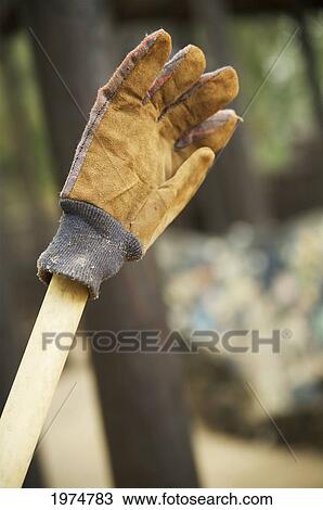 Hawaii, Kauai, Kamalani, Lydgate Park, Gloves On A Stick. View Large Photo Image Stock Image - Hawaii, Kauai, Kamalani, Lydgate Park, Gloves On A Stick.. Fotosearch