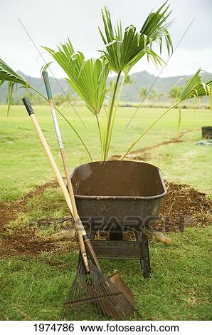 Hawaii, Kauai, Kamalani, Lydgate Park, Gardening Tools. View Large Photo Image Stock Photograph - Hawaii, Kauai, Kamalani, Lydgate Park, Gardening Tools.. Fotosearch