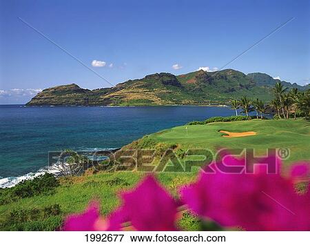 Stock Photo - Hawaii, Kauai, Kauai Lagoons Golf Course, Kiele Course, Hole#13, Green At Ocean's Edge, Flowers. Fotosearch