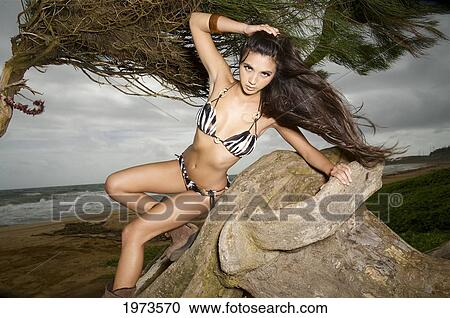 Stock Image - Hawaii, Kauai, Kealia Beach, Attractive Young Woman On The Beach In A Tree.. Fotosearch