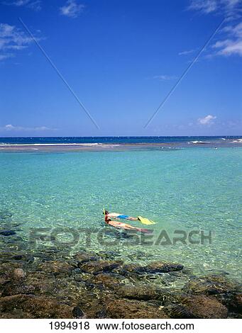 Stock Photo - Hawaii, Kauai, Kee Beach, Couple Snorkel At Surface Of Clear Turquoise Water. Fotosearch