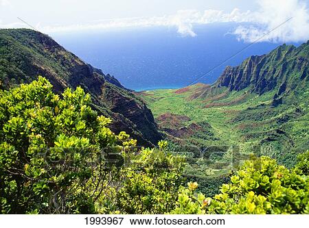 Stock Photo - Hawaii, Kauai, Kokee State Park, Kalalau Valley Lookout. Fotosearch