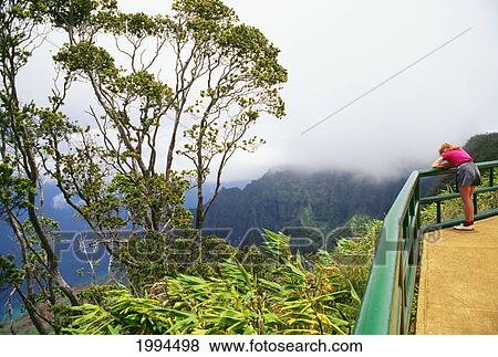 Hawaii, Kauai, Kokee State Park, Woman Stands At Rail, Enjoys View Of Kalalau Valley. View Large Photo Image Stock Photo - Hawaii, Kauai, Kokee State Park, Woman Stands At Rail, Enjoys View Of Kalalau Valley.. Fotosearch