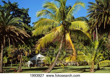 Stock Photo - Hawaii, Kauai, Lawai, Allerton Gardens, Main House On Grounds. Fotosearch