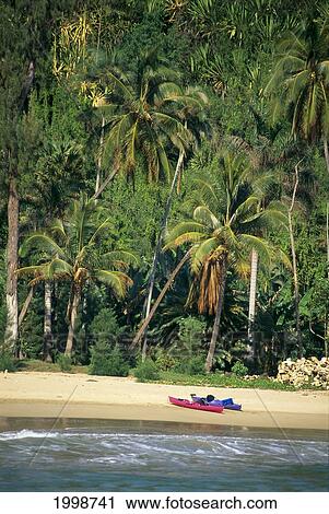 Hawaii, Kauai, Lawai, White Sand Beach And Lush Tropical Forest, Kayaks On Shore View Large Photo Image Stock Image - Hawaii, Kauai, Lawai, White Sand Beach And Lush Tropical Forest, Kayaks On Shore. Fotosearch